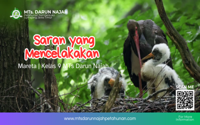 Saran yang Mencelakakan